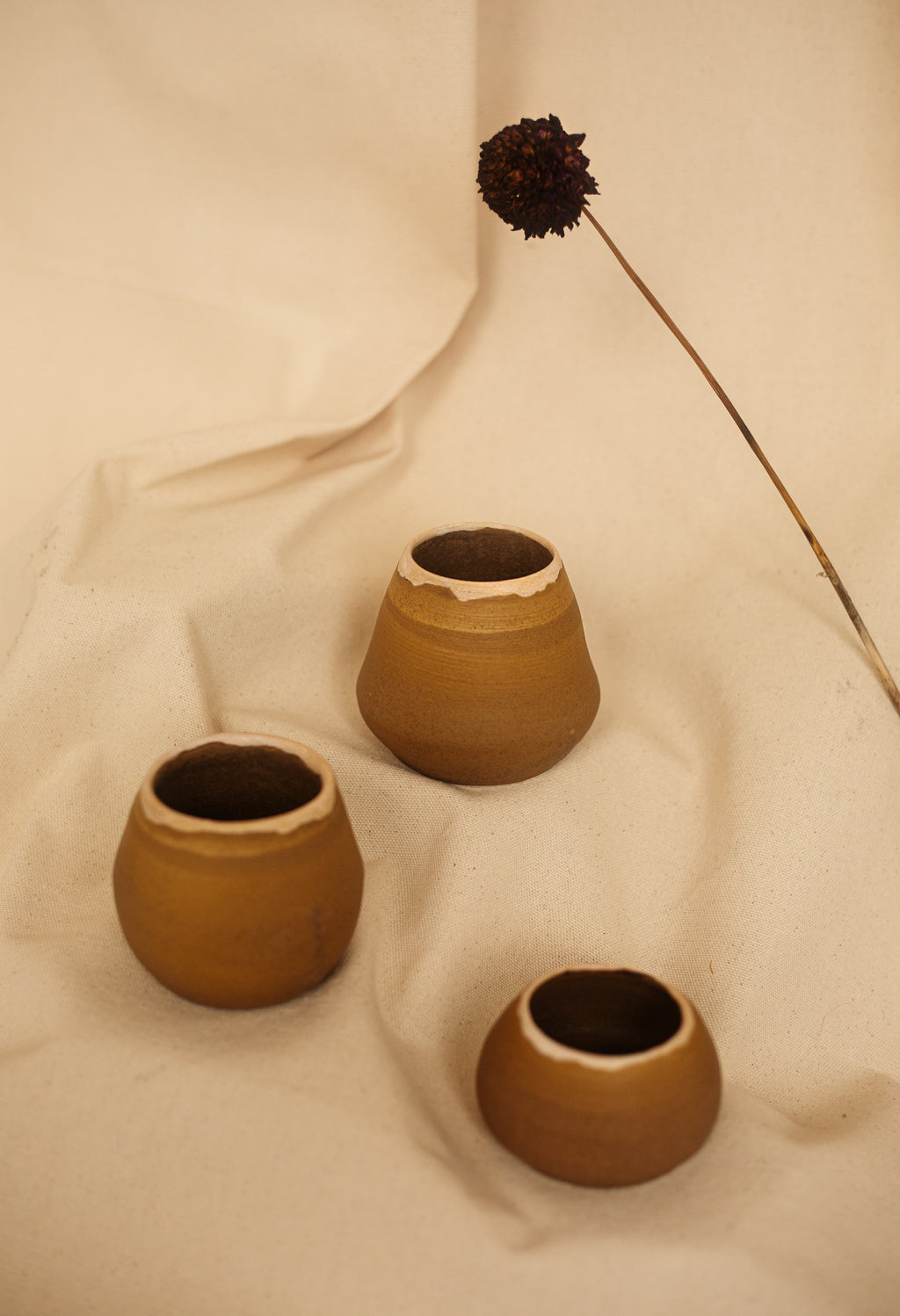 Dune Cup